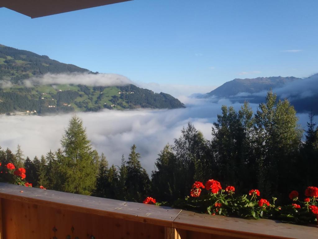 Landhaus Alpenjäger Hainzenberg Zimmer foto